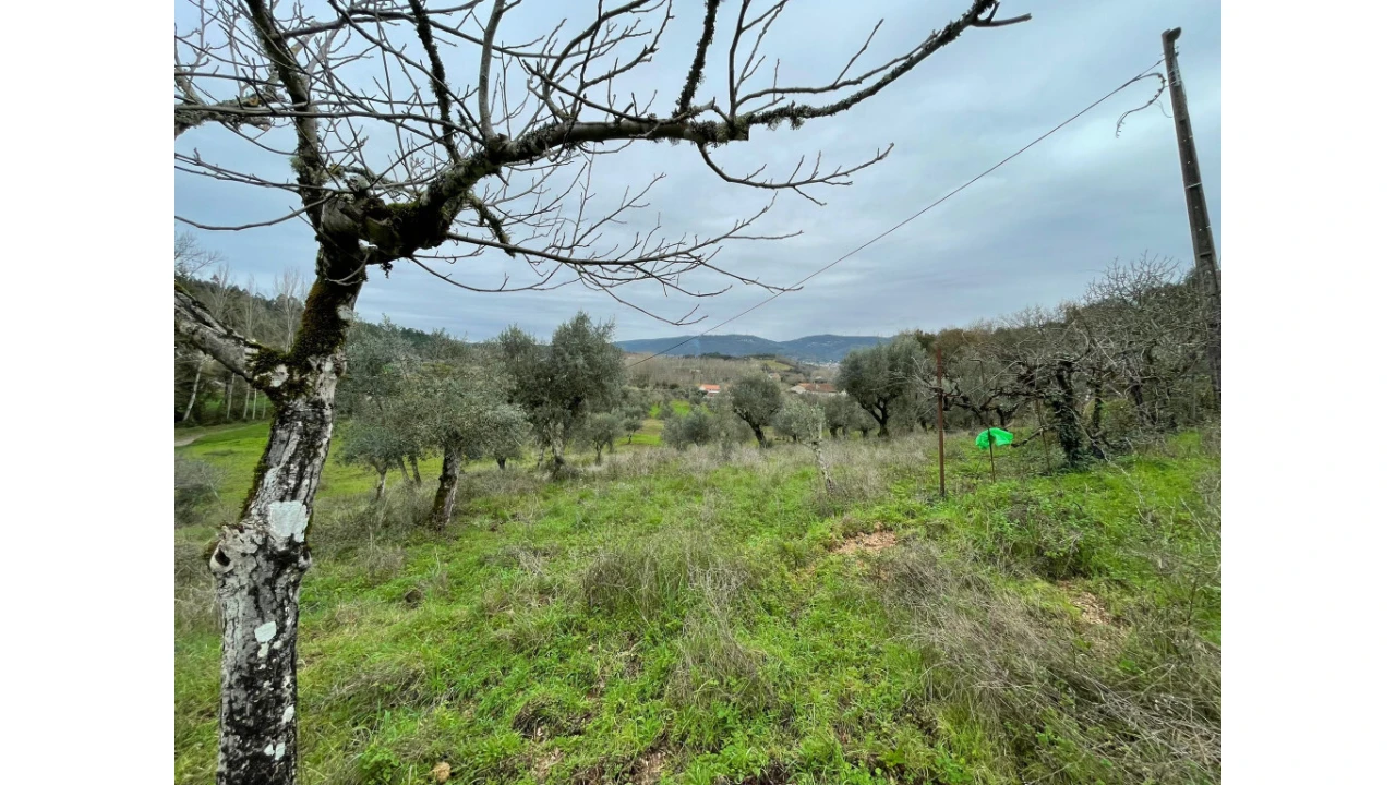 Moradia T3 para Venda em São Miguel, Santa Eufémia e Rabaçal Foto 11