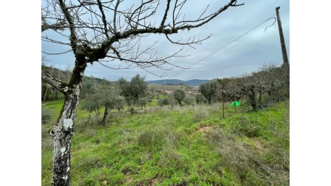 Moradia T3 para Venda em São Miguel, Santa Eufémia e Rabaçal