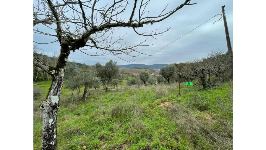 Moradia T3 para Venda em São Miguel, Santa Eufémia e Rabaçal Foto 11