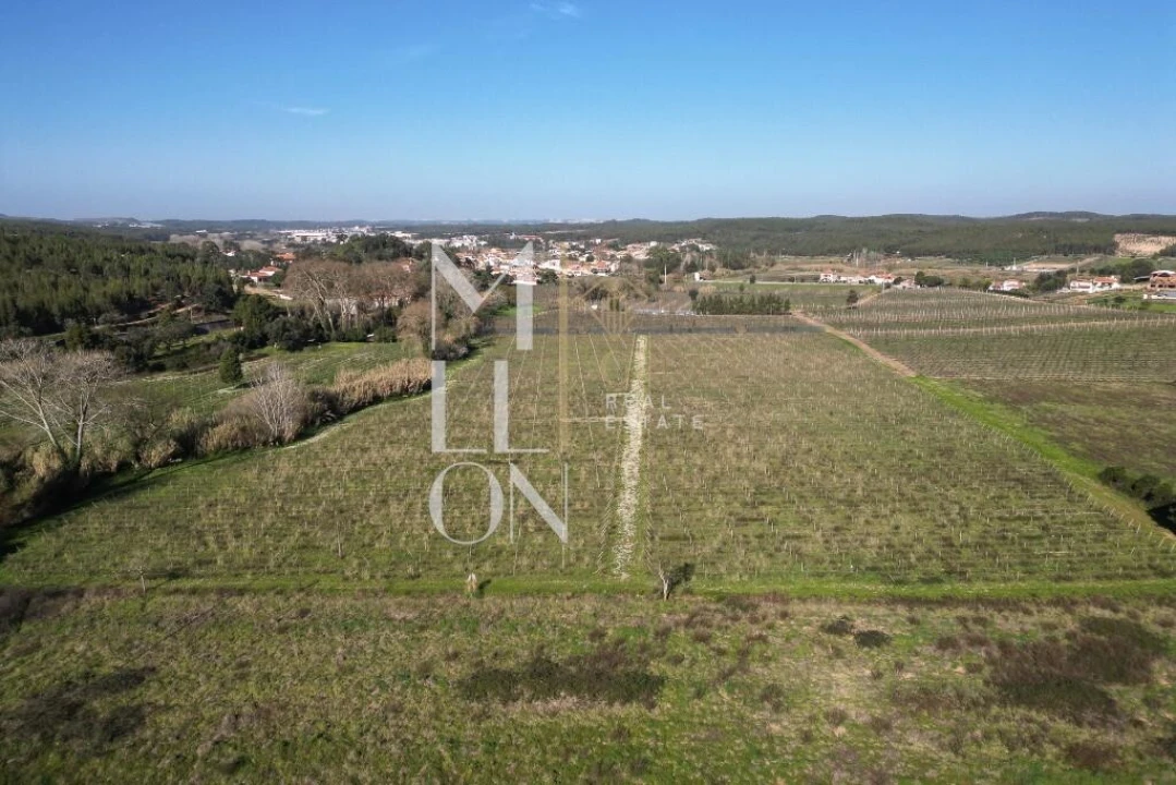 Quinta T5 para Venda em Maxial e Monte Redondo Foto 15