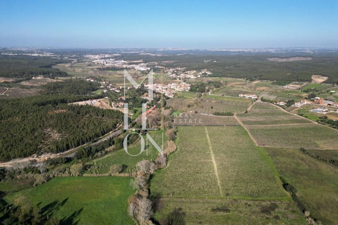 Quinta T5 para Venda em Maxial e Monte Redondo Foto 4