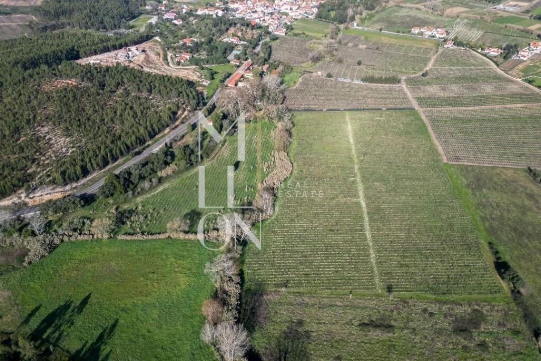 Quinta T5 para Venda em Maxial e Monte Redondo Foto 5