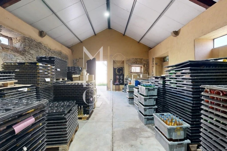 Quinta T5 para Venda em Maxial e Monte Redondo Foto 26