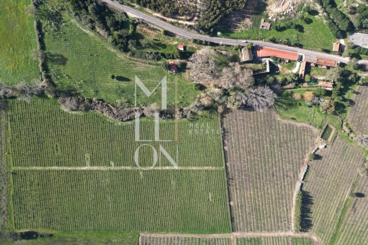 Quinta T5 para Venda em Maxial e Monte Redondo Foto 8