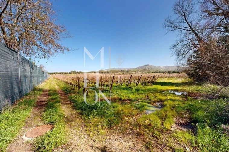 Quinta T5 para Venda em Maxial e Monte Redondo Foto 22