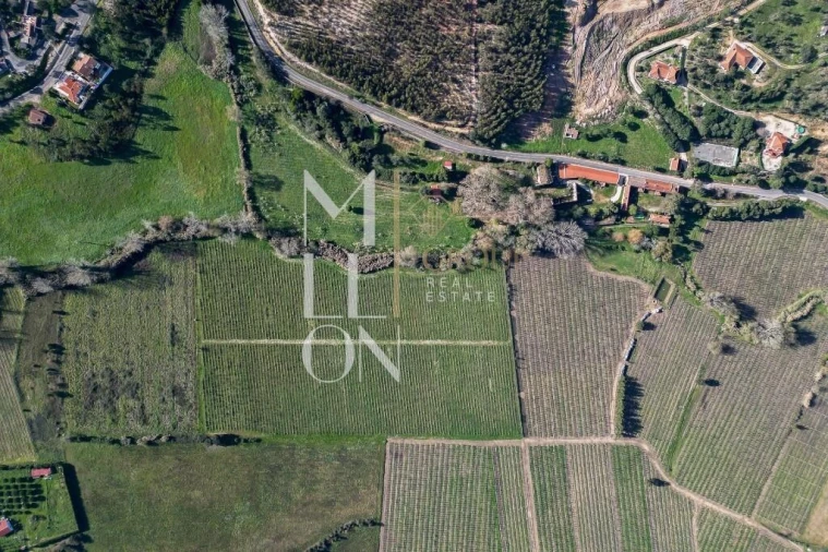 Quinta T5 para Venda em Maxial e Monte Redondo Foto 7