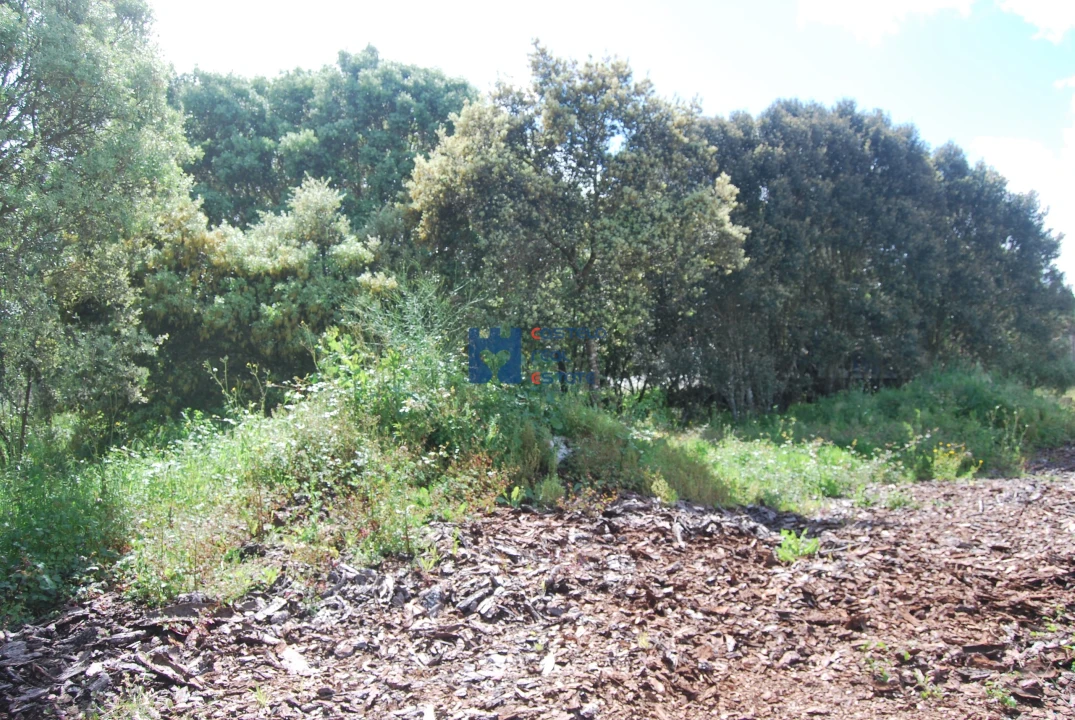 Terreno para Venda em Fatima Foto 9