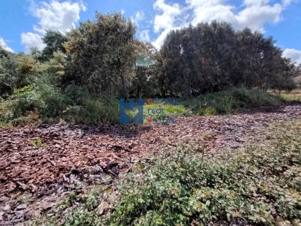 Terreno para Venda em Fatima Foto 18