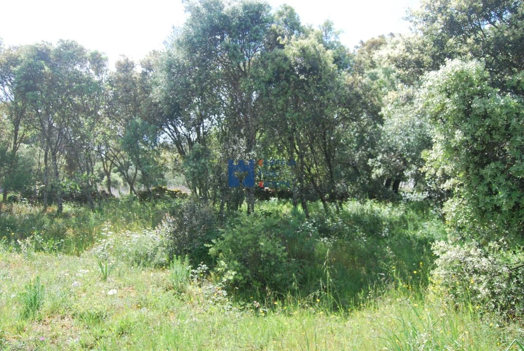 Terreno para Venda em Fatima Foto 10