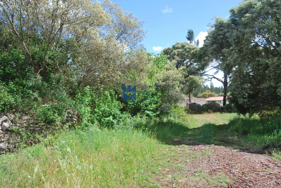 Terreno para Venda em Fatima Foto 1