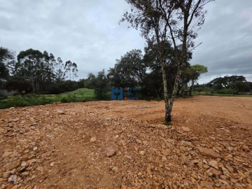 Terreno para Venda em Fatima