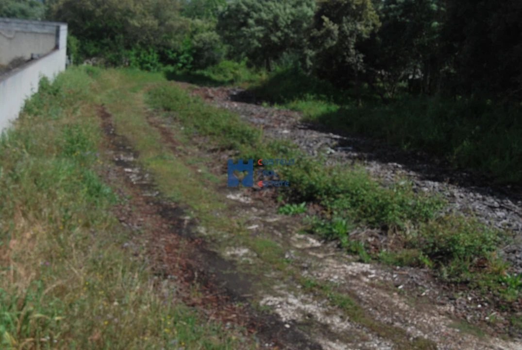 Terreno para Venda em Fatima Foto 5