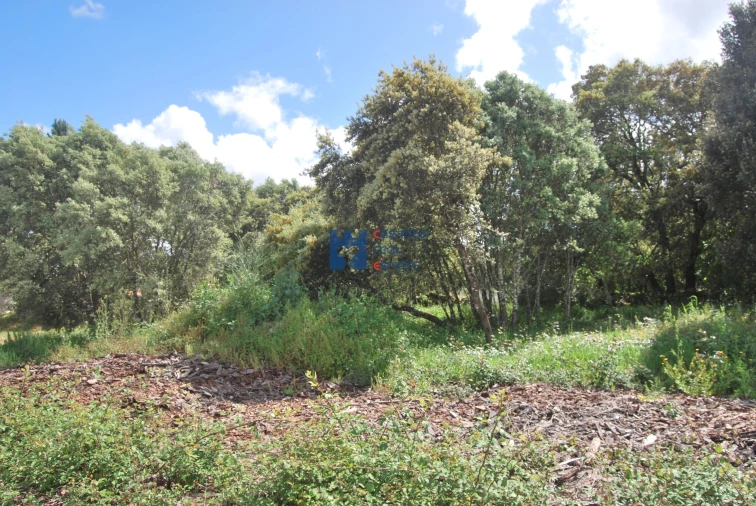 Terreno para Venda em Fatima Foto 7