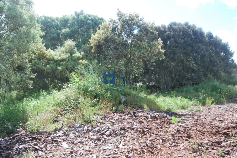 Terreno para Venda em Fatima Foto 9