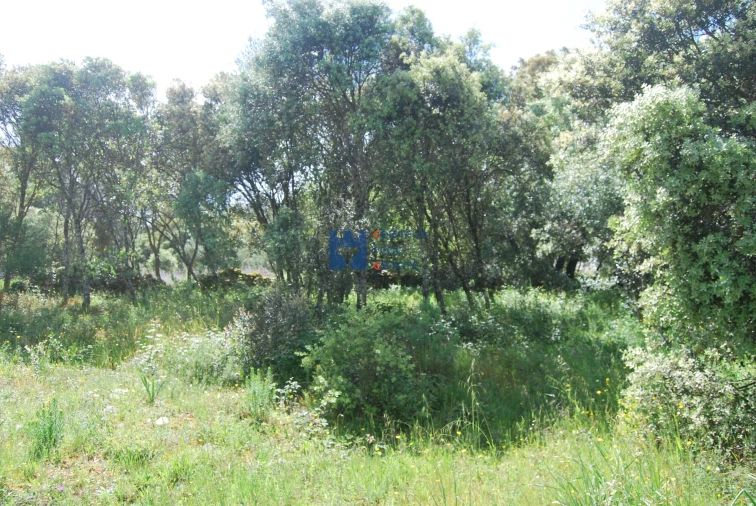 Terreno para Venda em Fatima Foto 10