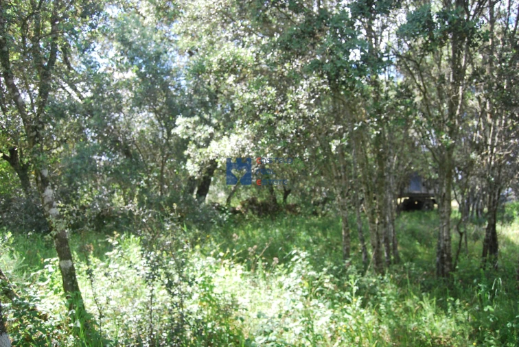 Terreno para Venda em Fatima Foto 12