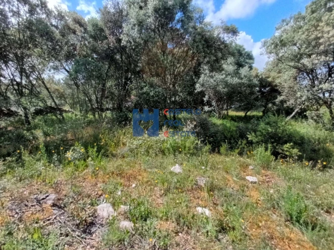 Terreno para Venda em Fatima Foto 20