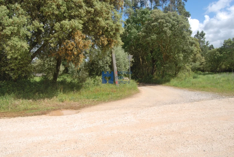 Terreno para Venda em Fatima Foto 15