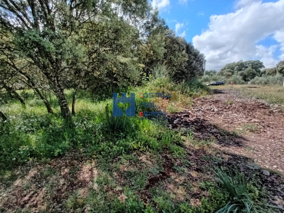 Terreno para Venda em Fatima Foto 17