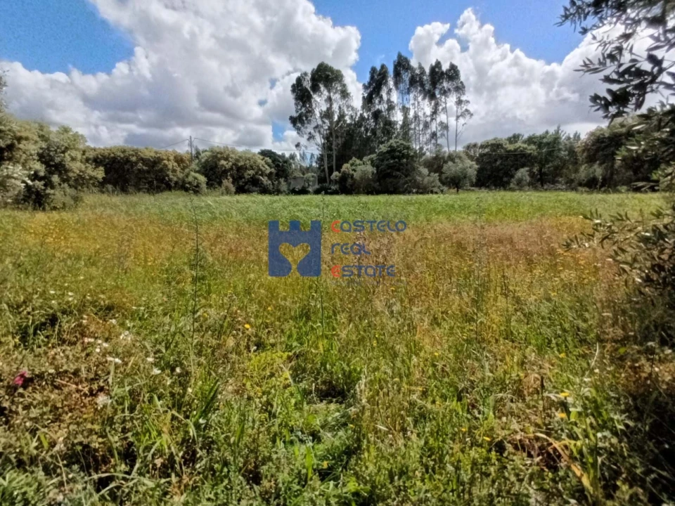 Terreno para Venda em Fatima Foto 19