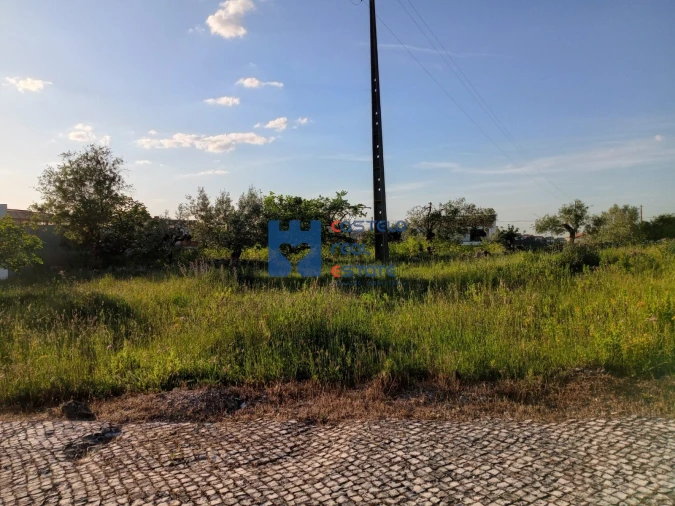 Terreno para Venda em Fatima Foto 18