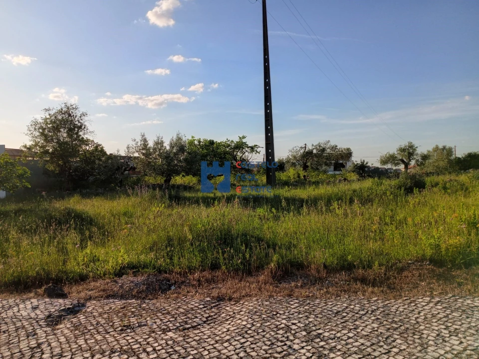 Terreno para Venda em Fatima Foto 11