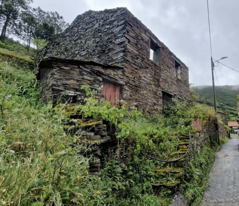 Moradia T1 para Venda em Benfeita Foto 2