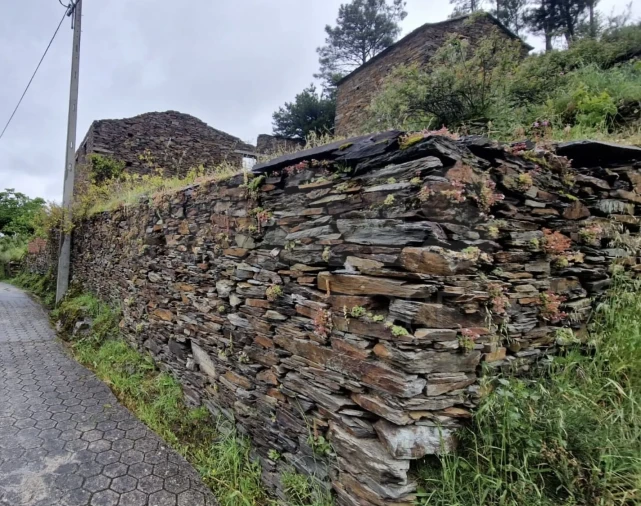 Moradia T1 para Venda em Benfeita Foto 3