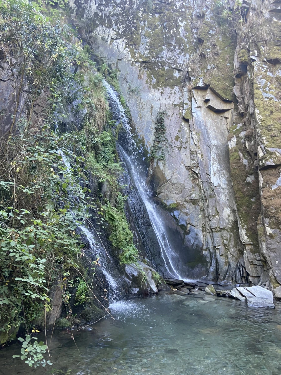 Moradia T1 para Venda em Benfeita Foto 6