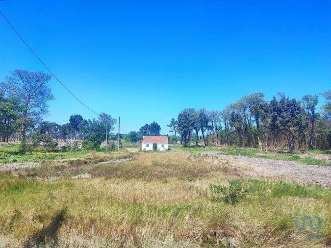 Moradia T2 para Venda em Torreira Foto 4