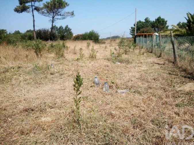 Terreno para Venda em Antas Foto 8