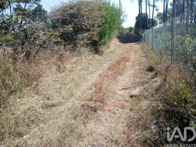 Terreno para Venda em Antas Foto 10