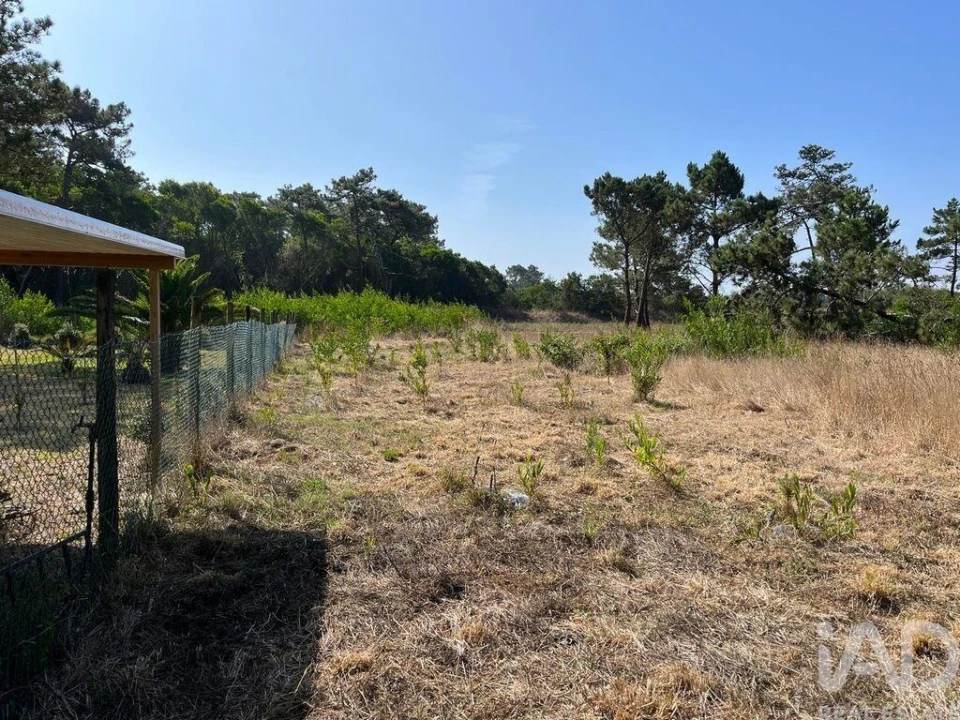 Terreno para Venda em Antas Foto 6