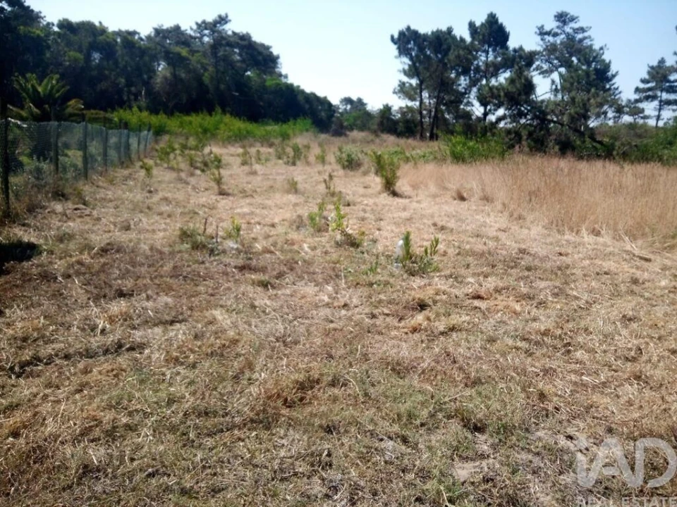 Terreno para Venda em Antas Foto 7