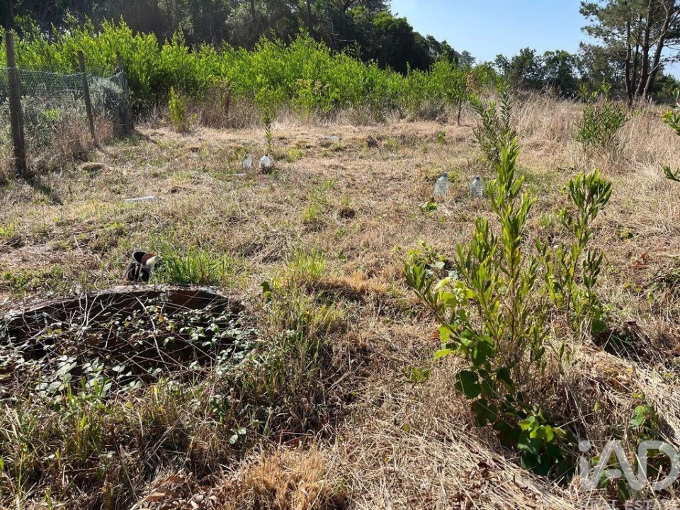 Terreno para Venda em Antas Foto 4