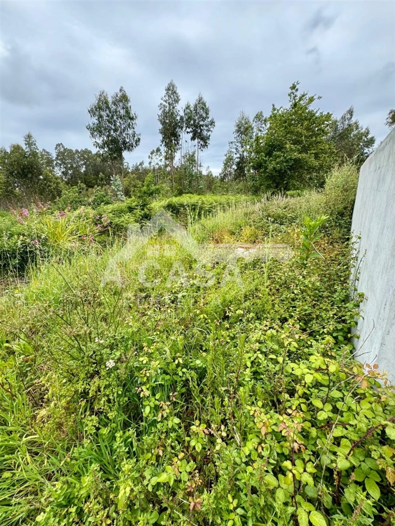 Moradia T2 para Venda em Ovar, São João, Arada e São Vicente de Pereira Jusã Foto 15