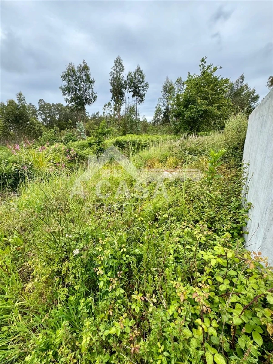 Moradia T2 para Venda em Ovar, São João, Arada e São Vicente de Pereira Jusã Foto 15
