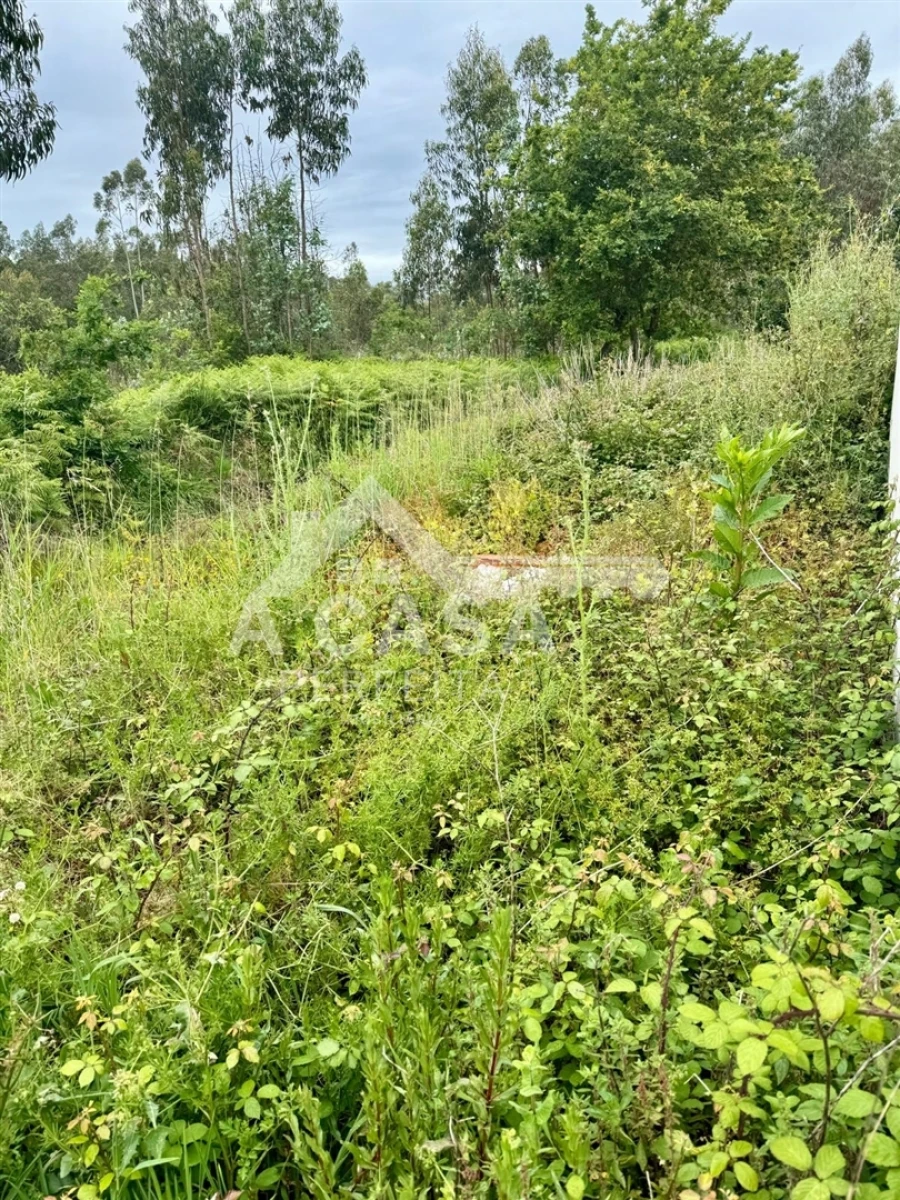 Moradia T2 para Venda em Ovar, São João, Arada e São Vicente de Pereira Jusã Foto 13