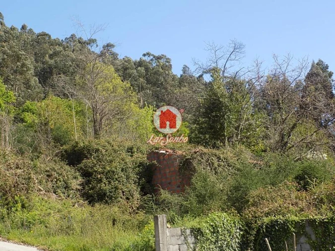 Terreno para Venda em Vale (São Cosme), Telhado e Portela Foto 1