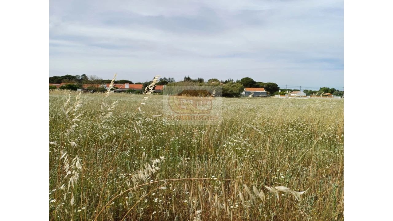 Terreno para Venda em Santa Maria do Castelo e Santiago e Santa Susana Foto 4