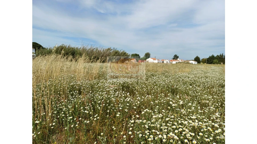 Terreno para Venda em Santa Maria do Castelo e Santiago e Santa Susana Foto 2