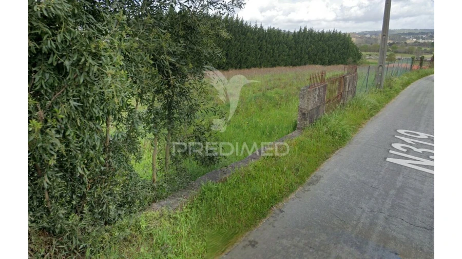 Terreno para Venda em Sobreira Foto 6