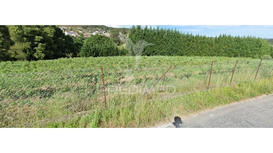 Terreno para Venda em Sobreira Foto 2