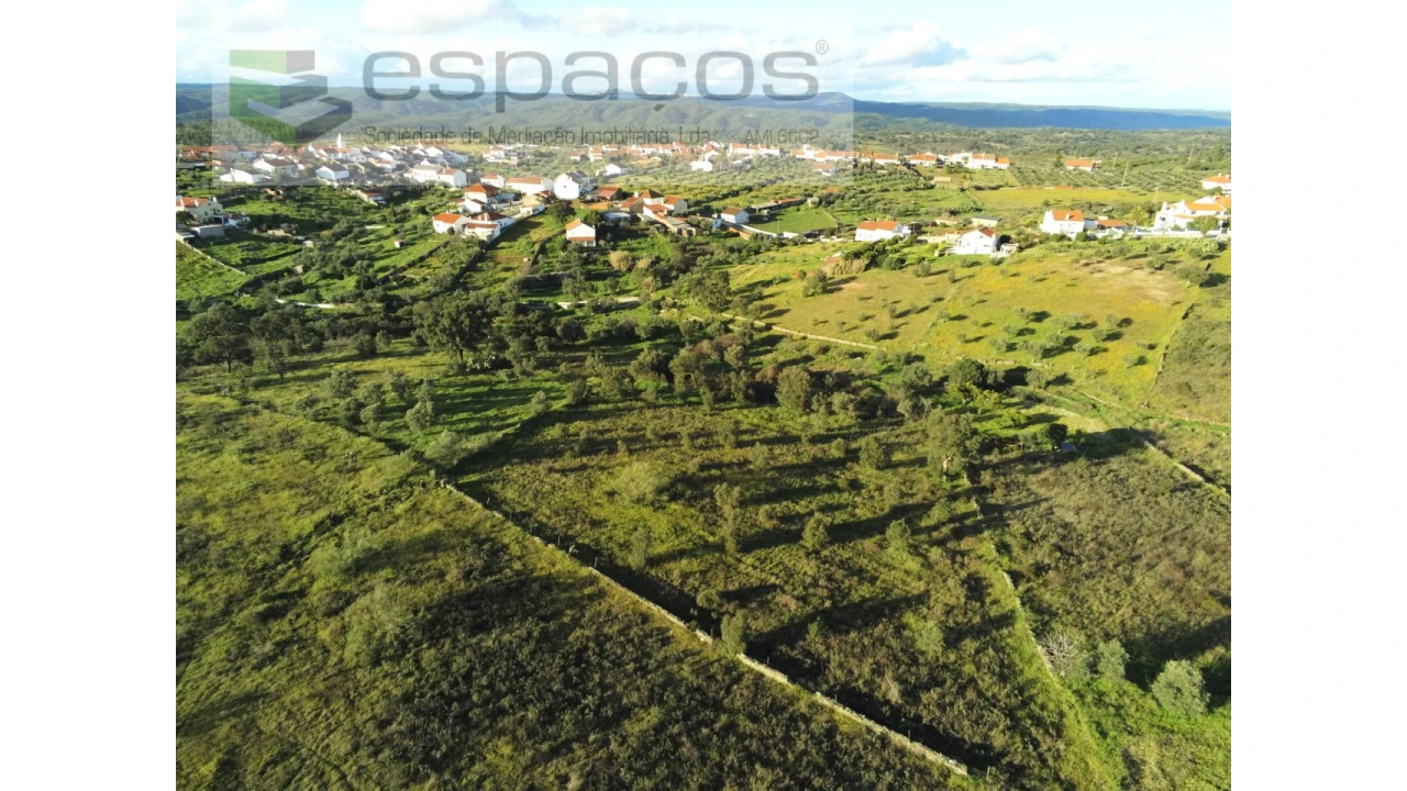 Terreno Agricola ou Rústico para Venda em Castelo Branco Foto 1