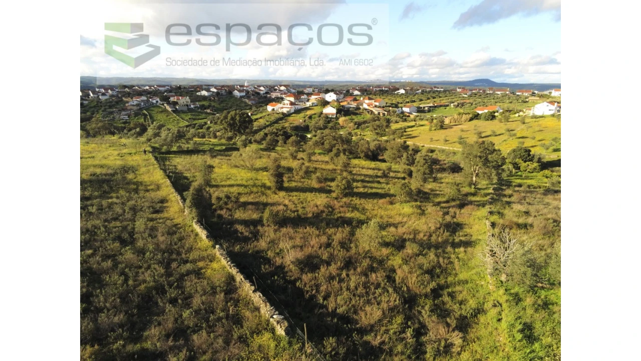 Terreno Agricola ou Rústico para Venda em Castelo Branco Foto 4
