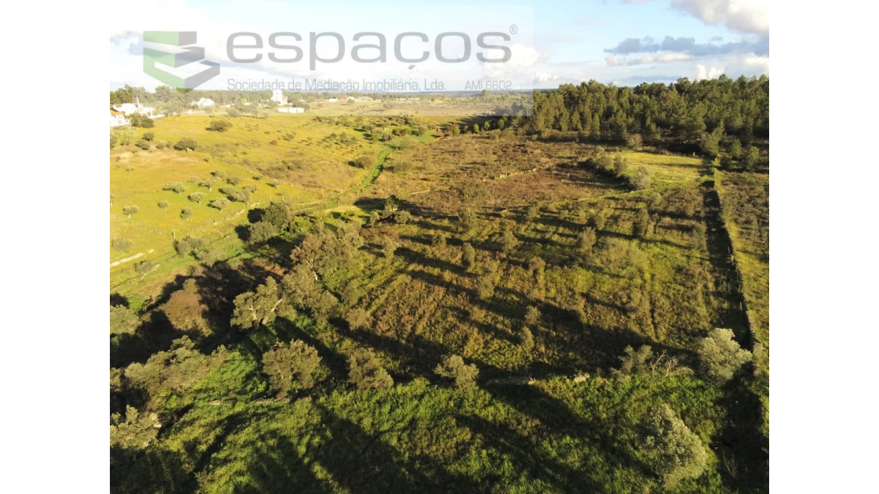 Terreno Agricola ou Rústico para Venda em Castelo Branco Foto 6