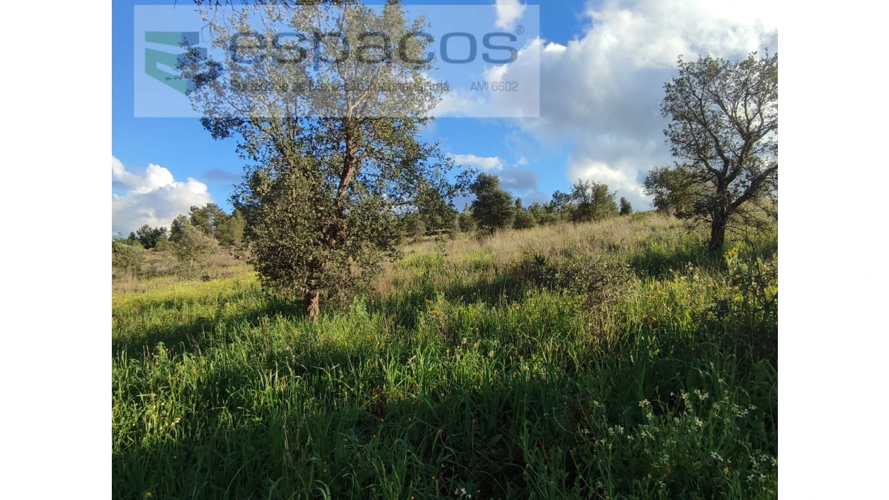 Terreno Agricola ou Rústico para Venda em Castelo Branco Foto 5