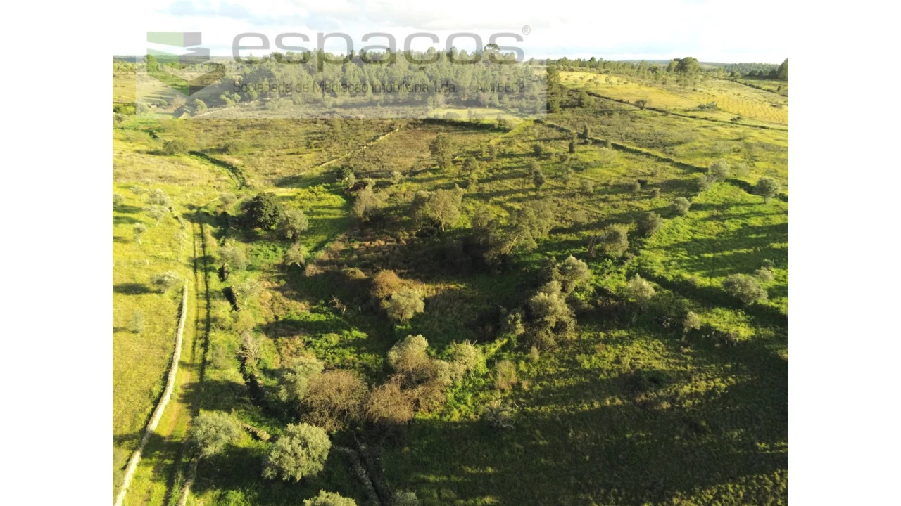 Terreno Agricola ou Rústico para Venda em Castelo Branco Foto 8