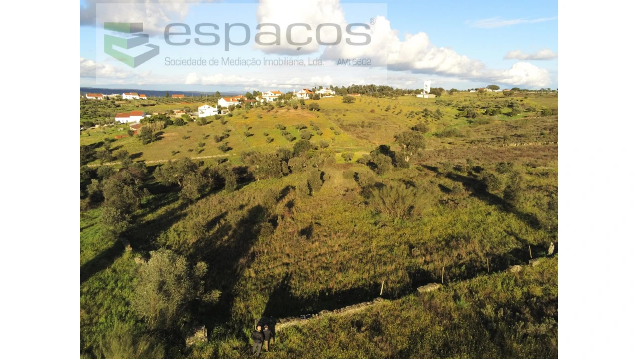 Terreno Agricola ou Rústico para Venda em Castelo Branco Foto 10