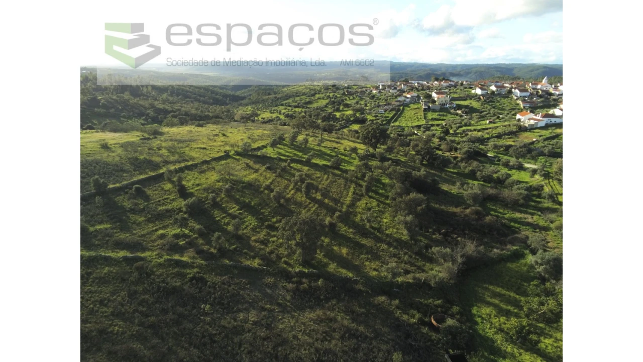 Terreno Agricola ou Rústico para Venda em Castelo Branco Foto 11